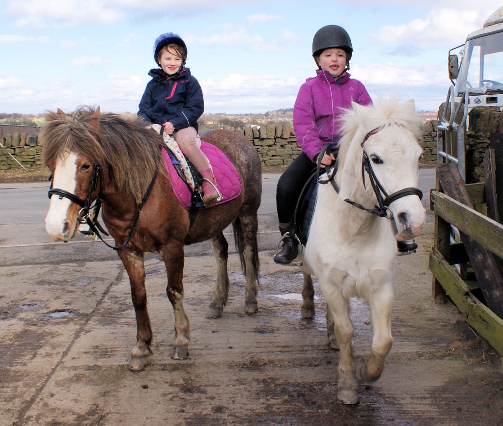 Taking the Kids Horse Riding