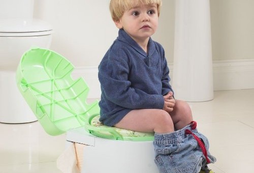 Quick, Easy and Effective Potty Training? Solved!
